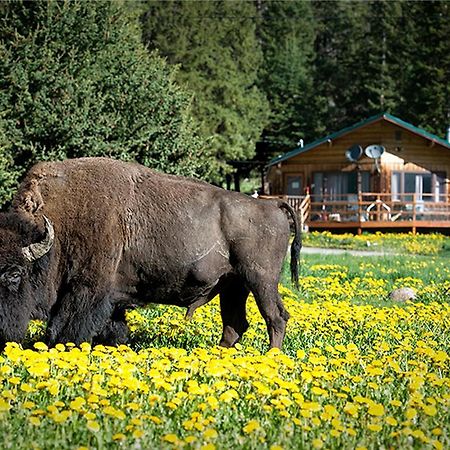 Silver Gate Lodging クック・シティ エクステリア 写真