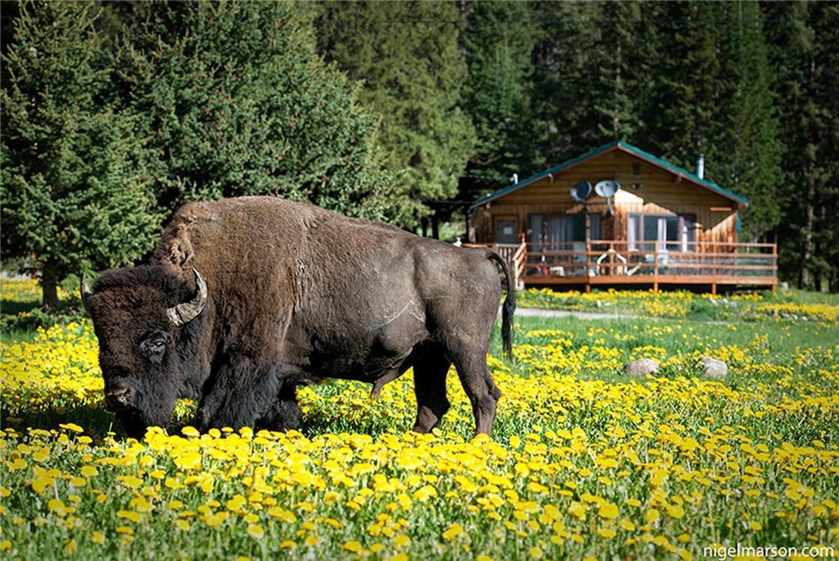 Silver Gate Lodging クック・シティ エクステリア 写真